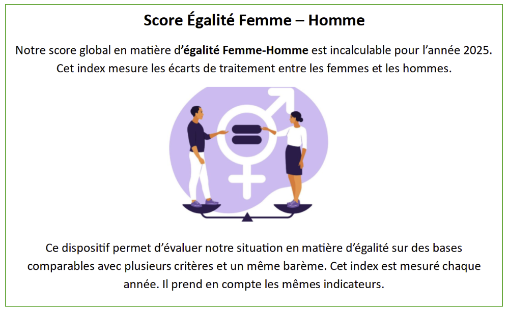 Score Égalité Femme - Homme